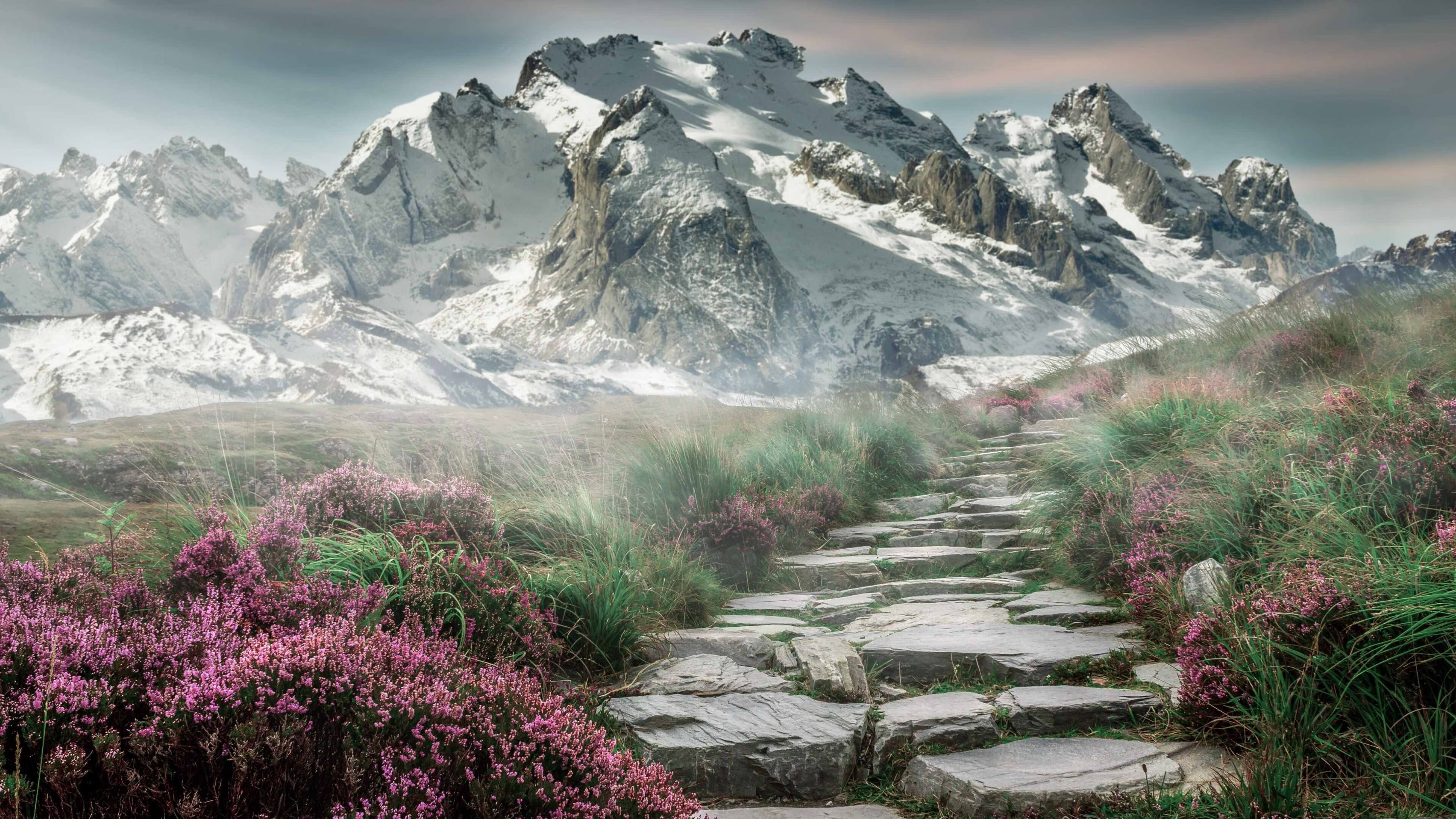 v7.2.5 版本正式上线,2026年2月13日,开启智能体验新篇章